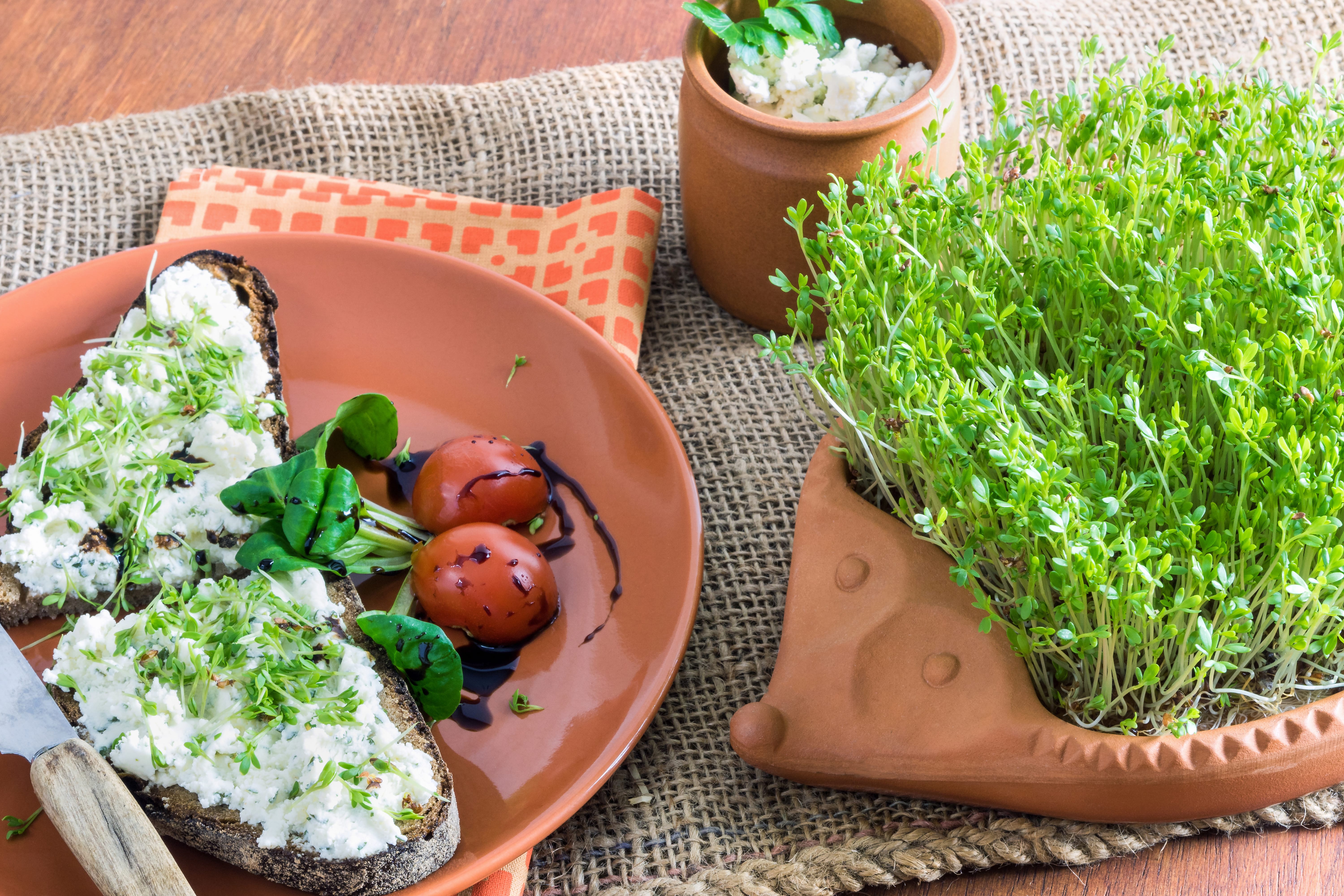 Kressebrot – 4 Rezepte vorgestellt