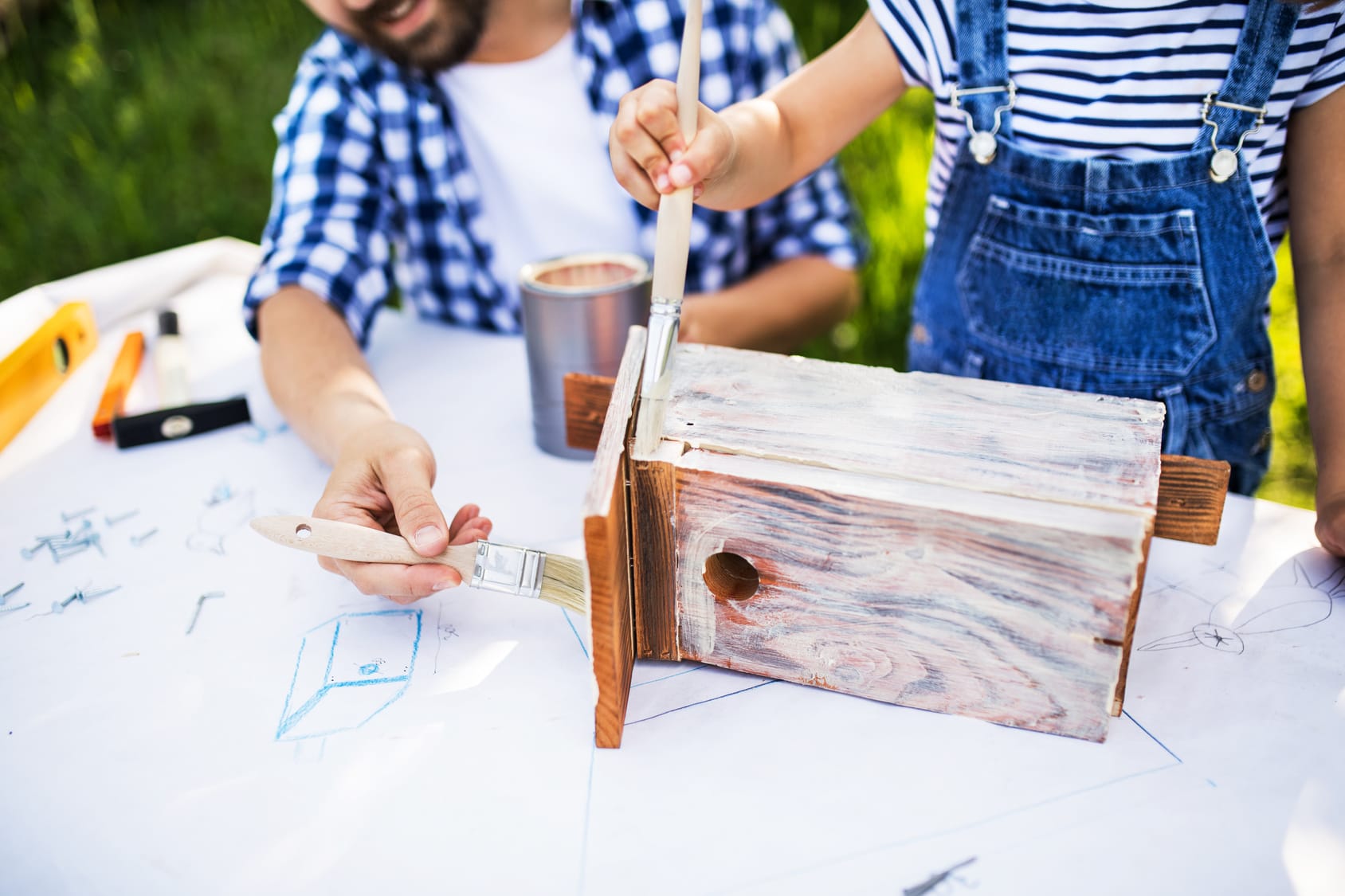 Nistkasten bauen – So geht’s