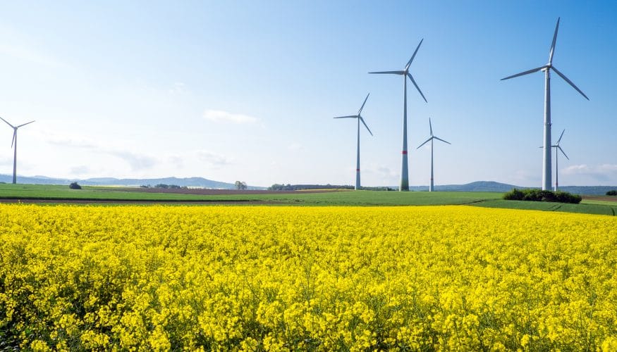 https://www.haushaltstipps.net/wp-content/uploads/oekostrom-teurer-atomstrom Ist Ökostrom teurer als Atomstrom?