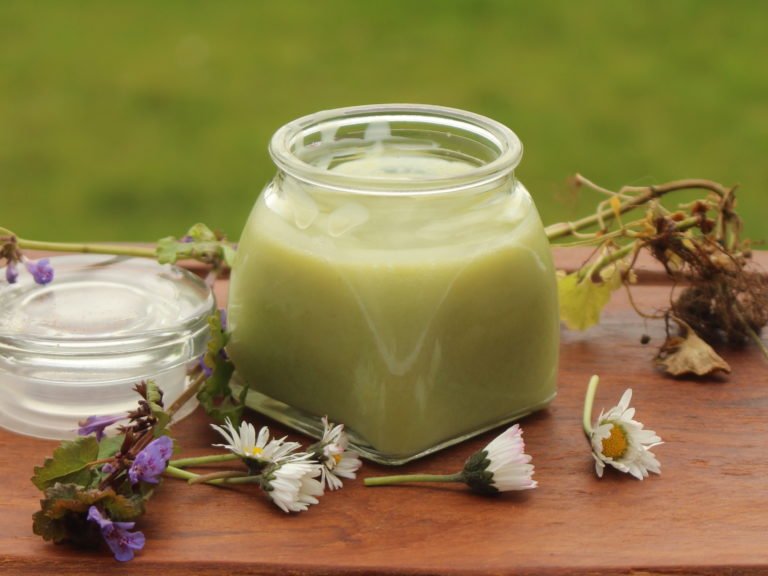 Pferdesalbe Test » Die besten Modelle für 2024 im Vergleich