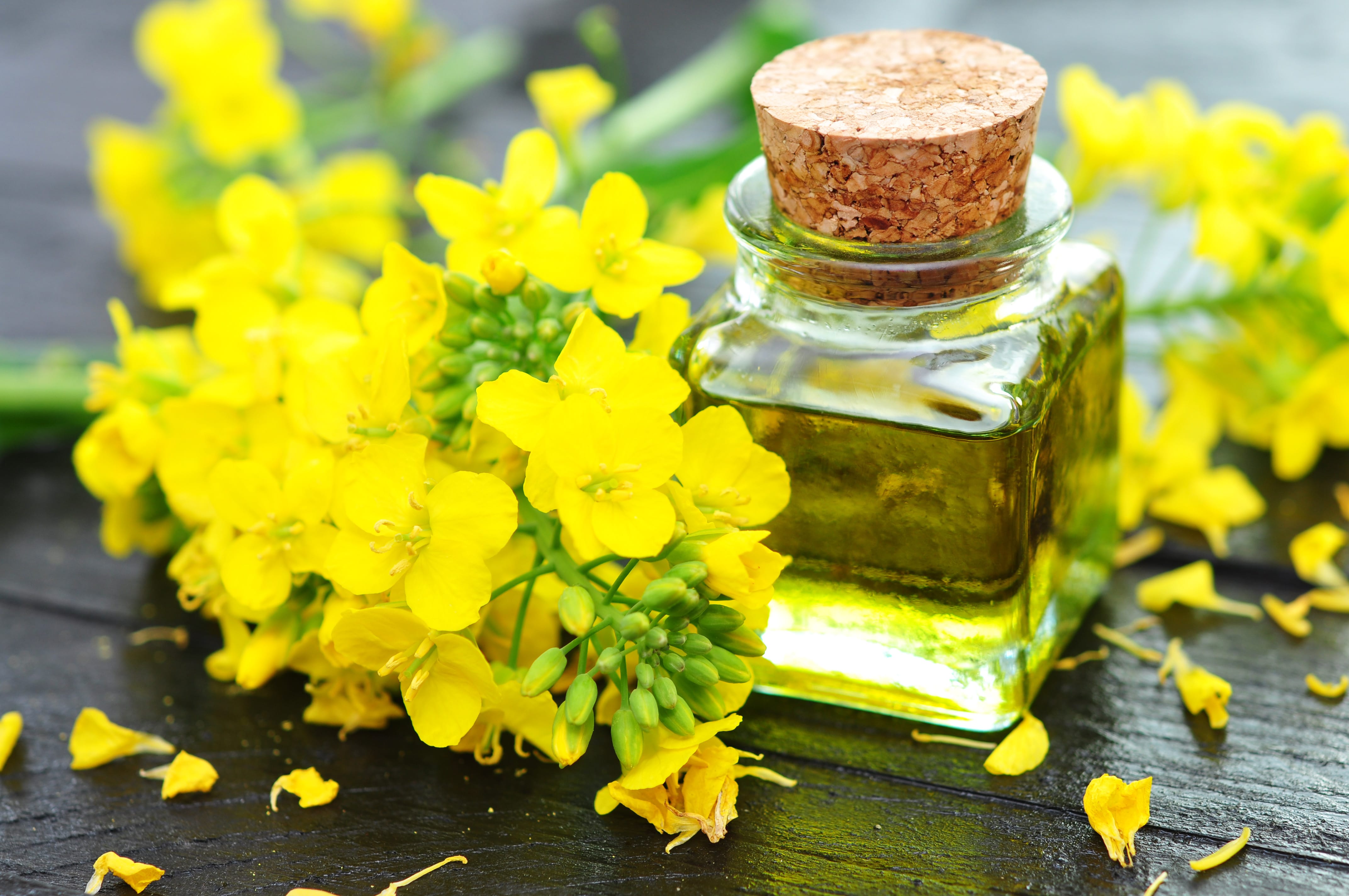 Рыжиковое масло применение. Рапсовое масло рыжиковое масло. Рыжиковое масло canola. Масло рапсовое нерафинированное. Рапс и рапсовое масло.