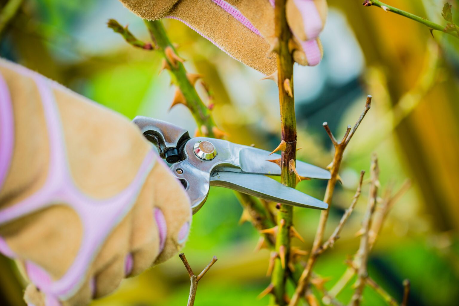 Garten begradigen 3 Tipps zum Nivellieren von Grundstücken