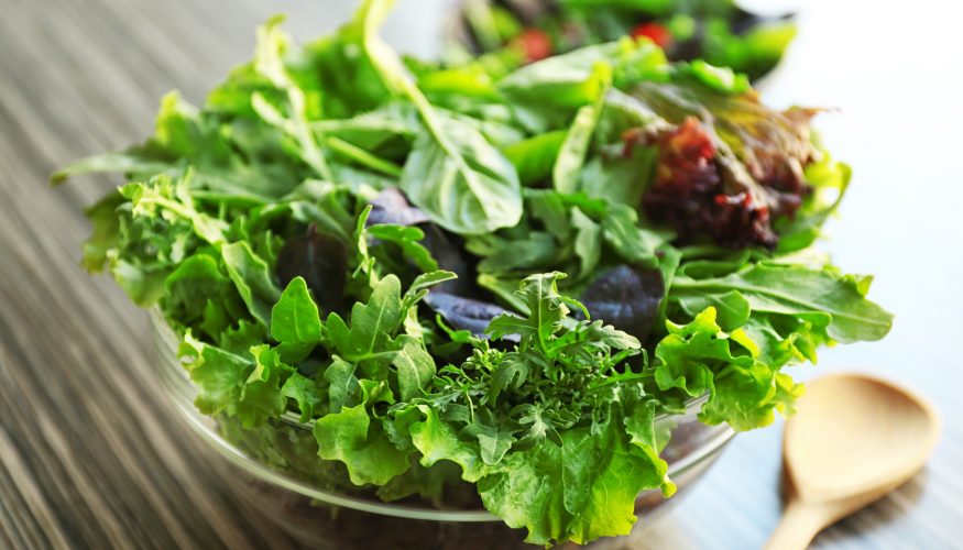 https://www.haushaltstipps.net/wp-content/uploads/salat-vitamine Verliert Salat beim Lagern Vitamine?
