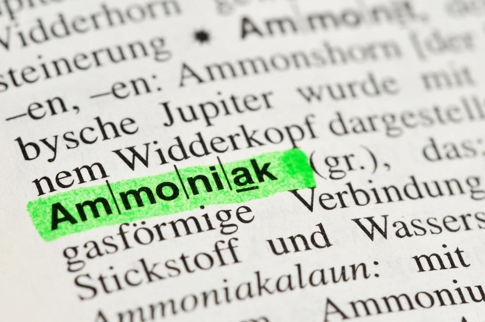Salmiakgeist Vielfaltige Anwendungsmoglichkeiten Als Hausmittel