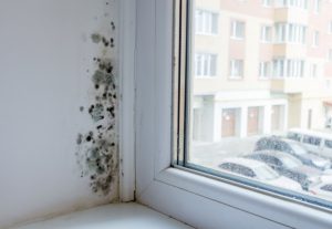 Fenster mit Schimmel am Rand