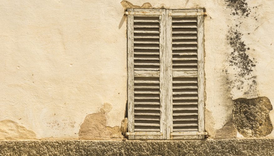 https://www.haushaltstipps.net/wp-content/uploads/schimmel-aussenwand Schimmel an der Außenwand