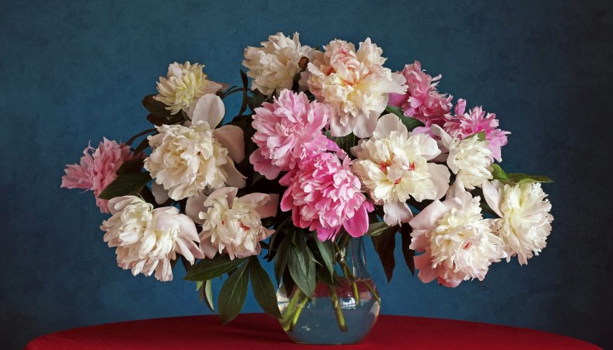 https://www.haushaltstipps.net/wp-content/uploads/schnittblumen-frisch-und-schoen Schnittblumen – So bleiben sie frisch und schön