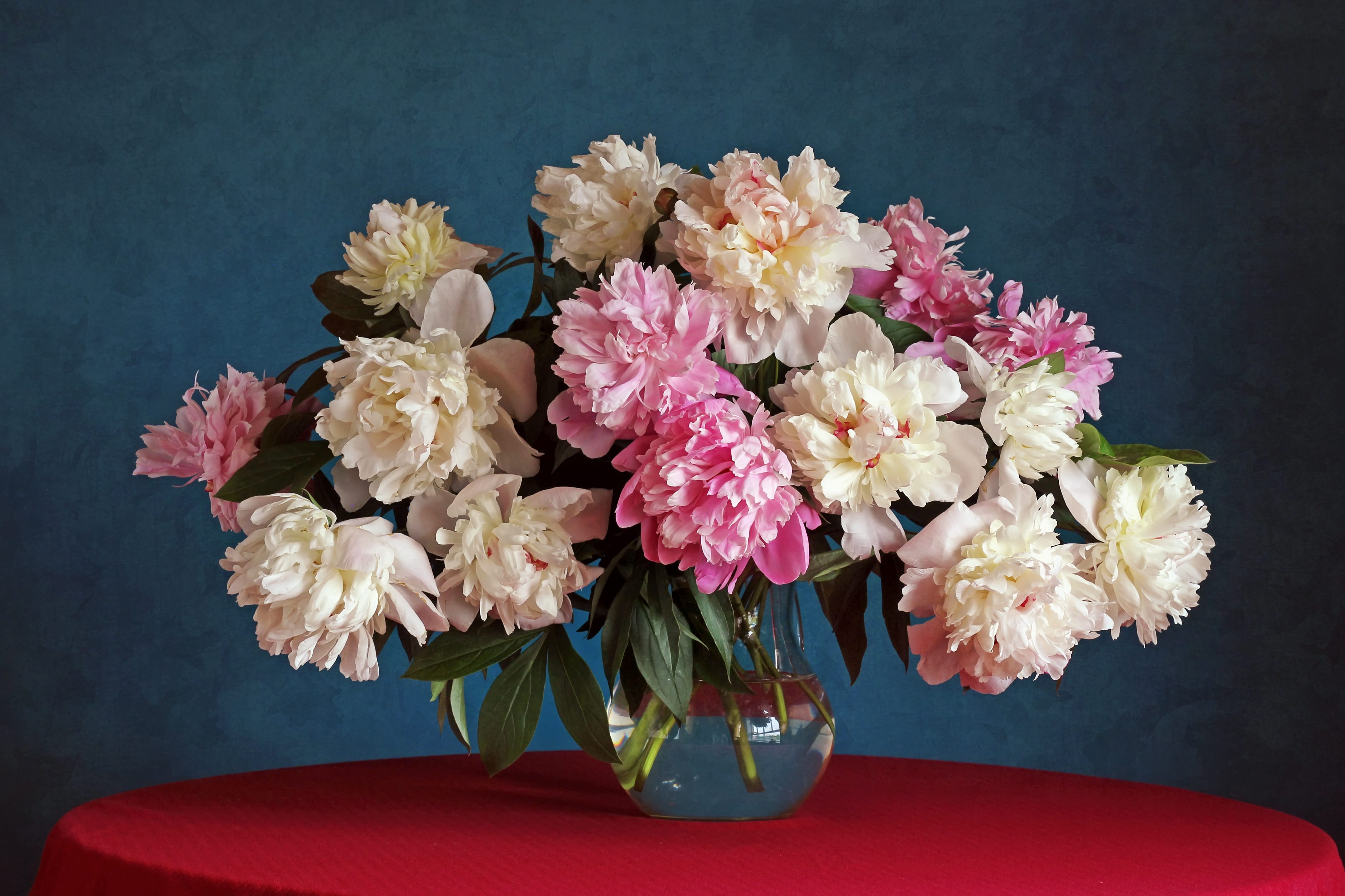https://www.haushaltstipps.net/wp-content/uploads/schnittblumen-frisch-und-schoen Schnittblumen – So bleiben sie frisch und schön