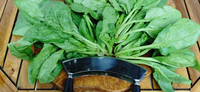 Spinat zubereiten: Tipps und Rezepte zur Spinatzubereitung