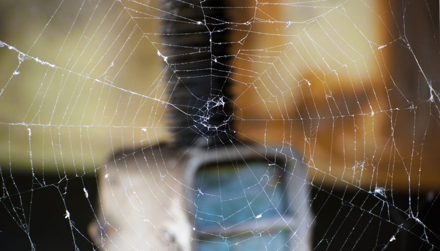 https://www.haushaltstipps.net/wp-content/uploads/spinnweben-entfernen Spinnweben entfernen – 6 Tipps