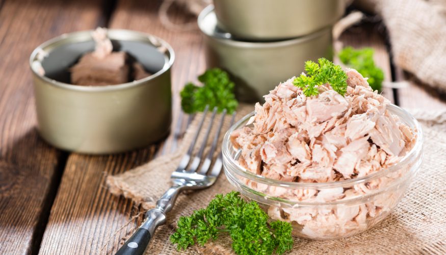 https://www.haushaltstipps.net/wp-content/uploads/thunfischdosen Ist in Thunfischdosen kein echter Thunfisch drin?