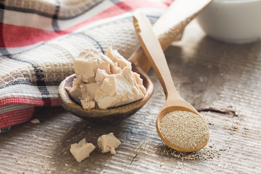 Trockenhefe vs. frische Hefe Unterschiede und Umrechung