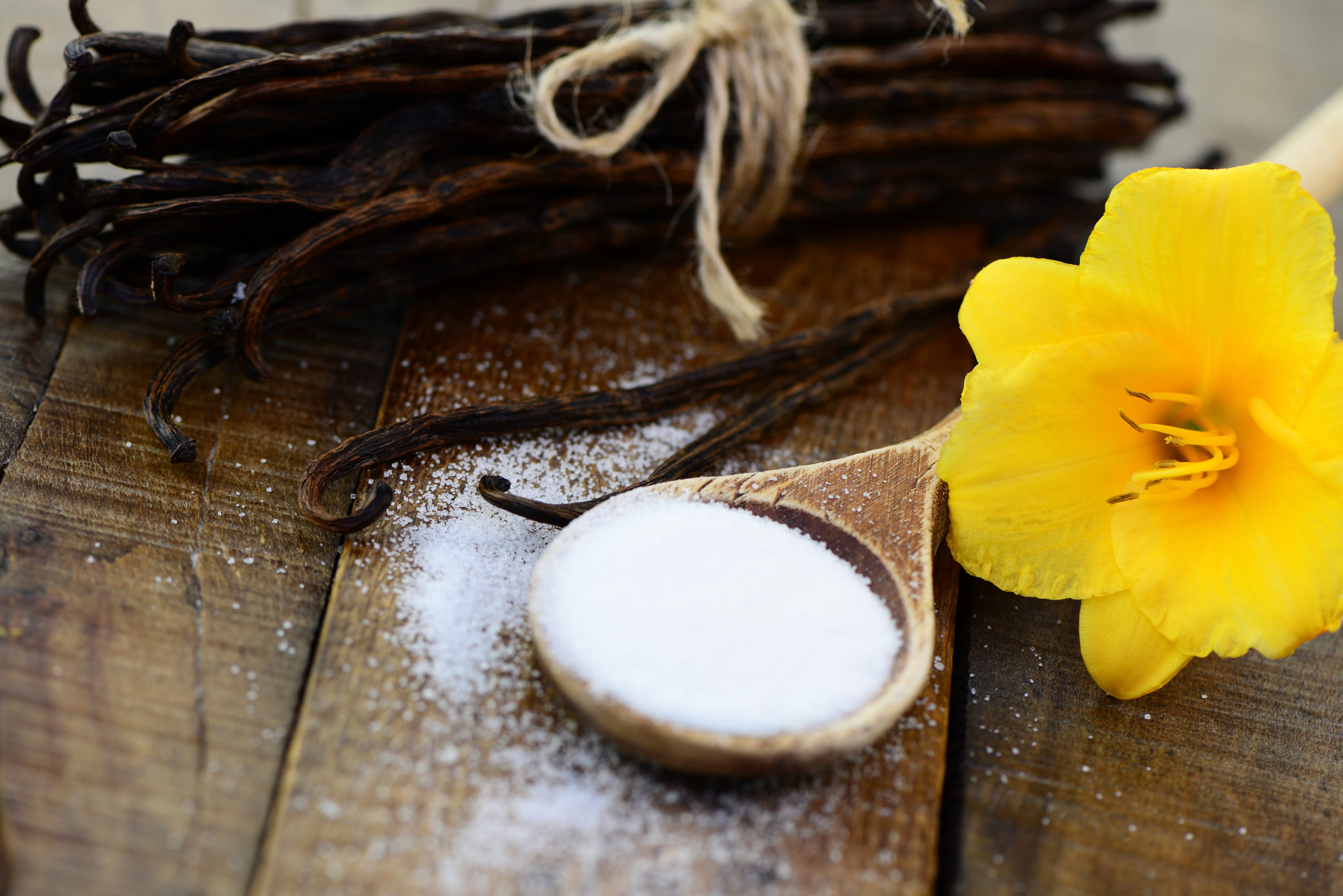Vanillezucker selber machen – Schritt für Schritt Anleitung