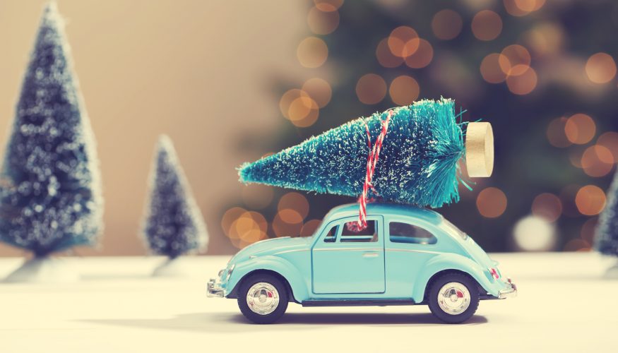 https://www.haushaltstipps.net/wp-content/uploads/weihnachtsbaum-haltbar-machen Weihnachtsbaum haltbar machen – 7 Tipps & Tricks!