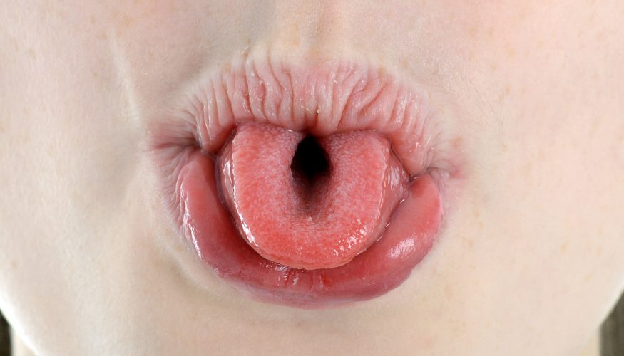 https://www.haushaltstipps.net/wp-content/uploads/zunge-rollen-genetisch Zunge rollen – Ist diese Fähigkeit genetisch angelegt?
